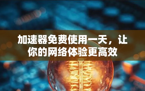加速器免费使用一天，让你的网络体验更高效