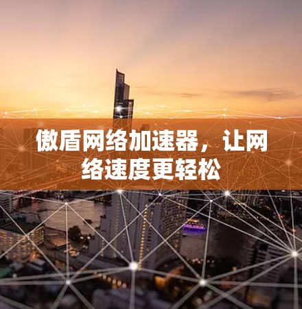 傲盾网络加速器,让网络速度更轻松