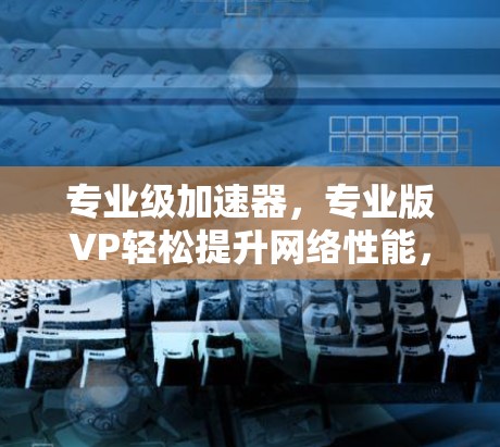 专业级加速器,专业版VP轻松提升网络性能,助力高效办公与工作体验
