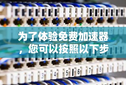 为了体验免费加速器,您可以按照以下步骤操作