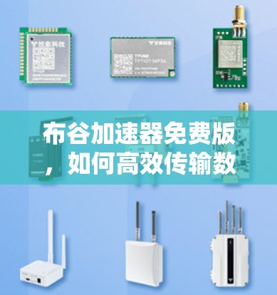 布谷加速器免费版，如何高效传输数据，不妨试试？