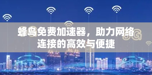 蜂鸟免费加速器，助力网络连接的高效与便捷