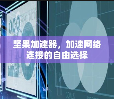 坚果加速器，加速网络连接的自由选择