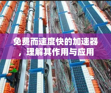 免费而速度快的加速器，理解其作用与应用