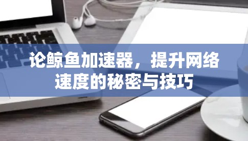 论鲸鱼加速器,提升网络速度的秘密与技巧