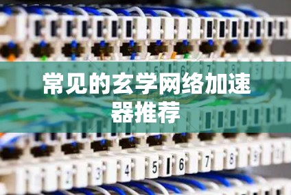 常见的玄学网络加速器推荐