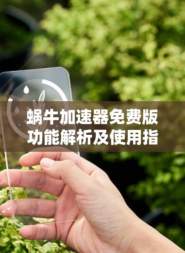 蜗牛加速器免费版功能解析及使用指南