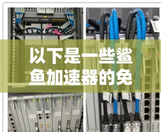 以下是一些鲨鱼加速器的免费版功能说明,这些功能可能在一些平台上存在