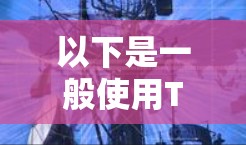 以下是一般使用Tom Accelerator的步骤