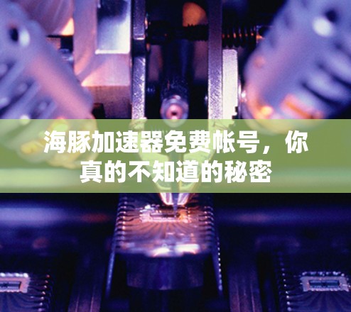 海豚加速器免费帐号，你真的不知道的秘密