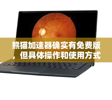 熊猫加速器确实有免费版,但具体操作和使用方式可能因品牌而异。以下是一些通用的步骤,帮助您使用熊猫加速器