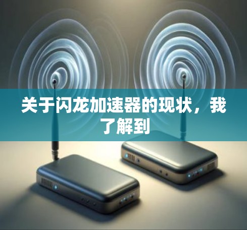 关于闪龙加速器的现状，我了解到