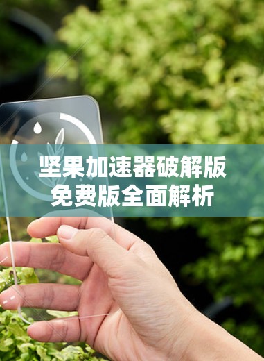 坚果加速器破解版免费版全面解析