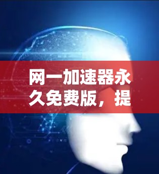 网一加速器永久免费版，提升网络性能的高效选择