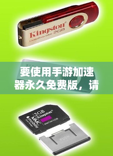 要使用手游加速器永久免费版,请按照以下步骤操作