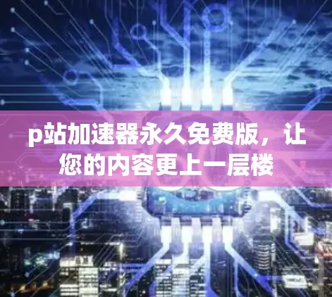 p站加速器永久免费版,让您的内容更上一层楼
