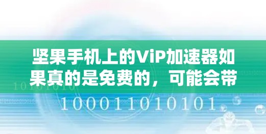 坚果手机上的ViP加速器如果真的是免费的,可能会带来安全和用户体验的问题。以下是一些关键点需要考虑