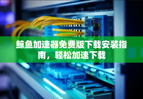 鲸鱼加速器免费版下载安装指南,轻松加速下载