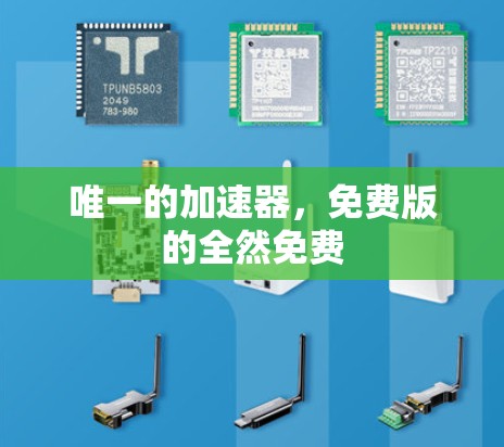 唯一的加速器,免费版的全然免费