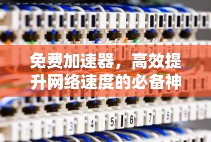免费加速器,高效提升网络速度的必备神器