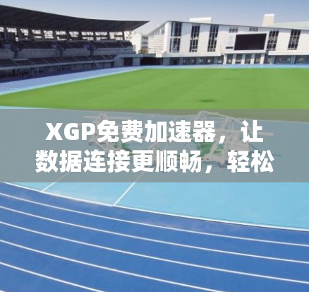 XGP免费加速器，让数据连接更顺畅，轻松应对网络难题