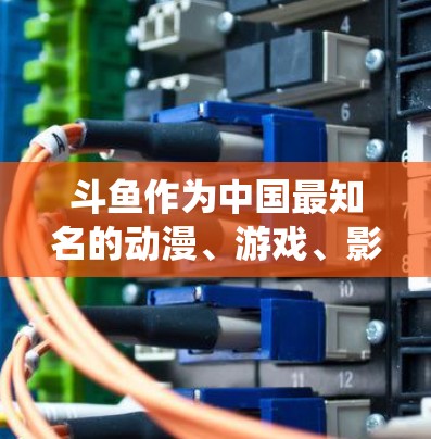 斗鱼作为中国最知名的动漫、游戏、影视资源分享平台，确实有很多免费的资源和加速器功能供用户下载。但需要注意的是，资源下载可能会对系统造成一定的压力，尤其是对一些大型资源的下载，可能会占用较多的存储空间