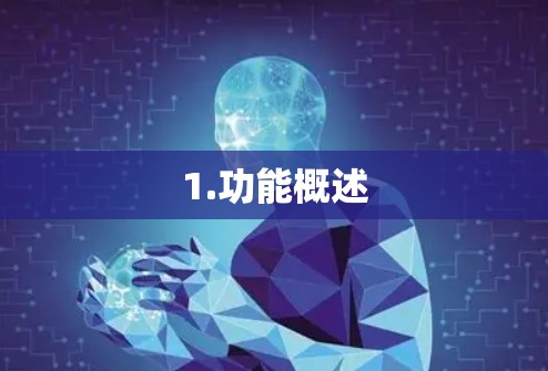 1.功能概述