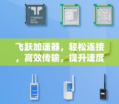 飞跃加速器,轻松连接,高效传输,提升速度!