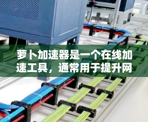 萝卜加速器是一个在线加速工具，通常用于提升网页加载速度和网络速度。不过，需要注意的是，萝卜加速器并不是一个永久免费的软件。如果你需要一个永久免费的加速工具，可能需要寻找其他可靠的加速软件