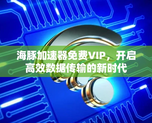 海豚加速器免费VIP，开启高效数据传输的新时代