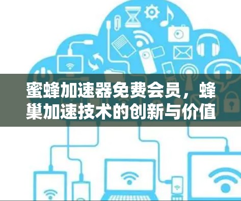 蜜蜂加速器免费会员，蜂巢加速技术的创新与价值