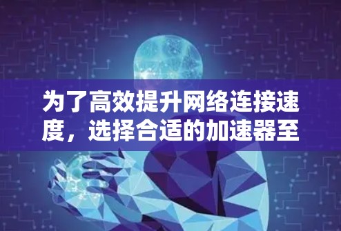 为了高效提升网络连接速度,选择合适的加速器至关重要。以下是一些分步骤的建议