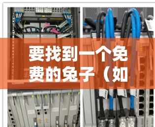 要找到一个免费的兔子（如Quick Transfer）在加速器中，可以按照以下步骤操作
