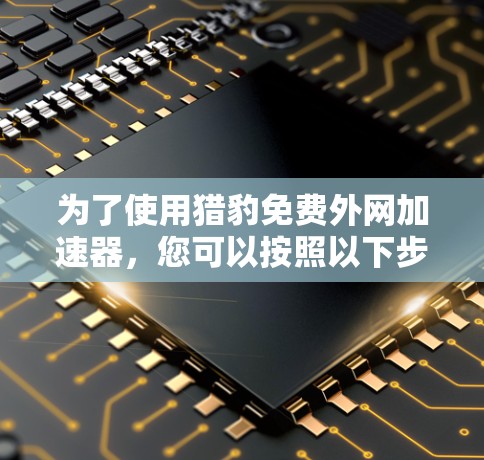 为了使用猎豹免费外网加速器，您可以按照以下步骤进行