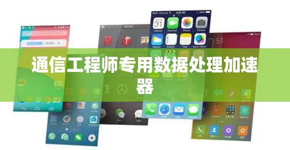 通信工程师专用数据处理加速器