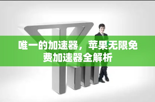 唯一的加速器,苹果无限免费加速器全解析