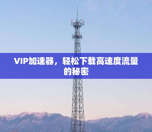 VIP加速器,轻松下载高速度流量的秘密