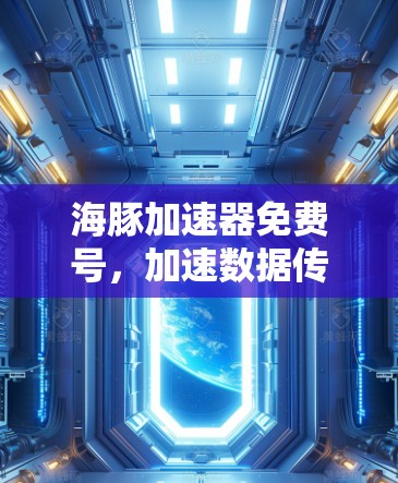 海豚加速器免费号，加速数据传输的未来