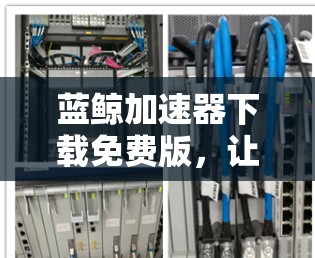蓝鲸加速器下载免费版,让下载更轻松,更高效