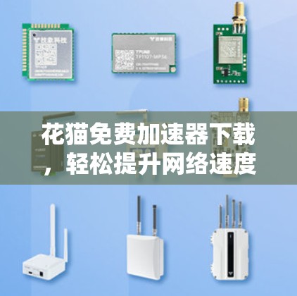 花猫免费加速器下载，轻松提升网络速度的高效选择
