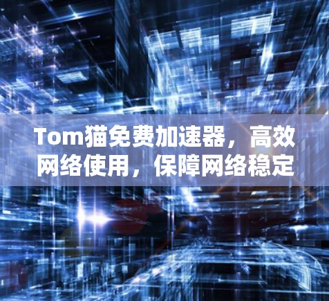 Tom猫免费加速器，高效网络使用，保障网络稳定
