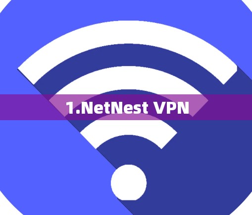 1.NetNest VPN