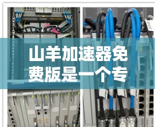 山羊加速器免费版是一个专门用于提升车辆加速效率的加速装置,通常针对摩托车、电动车和小型汽车。它提供多种功能模块,如油门控制、变速器控制、速度监测和导航,适合在高速或城市道路上加速