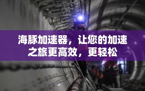 海豚加速器，让您的加速之旅更高效，更轻松