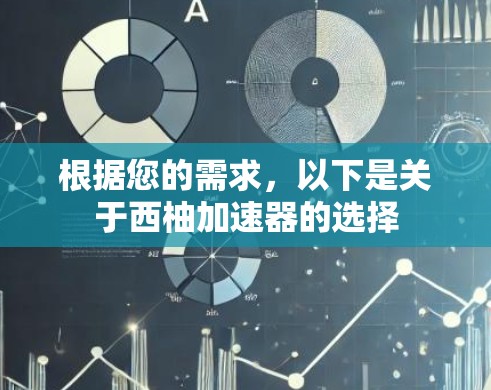 根据您的需求，以下是关于西柚加速器的选择