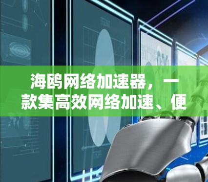 海鸥网络加速器，一款集高效网络加速、便捷体验于一体的智能网络解决方案