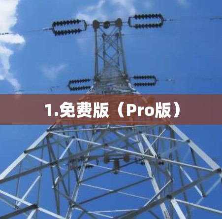1.免费版(Pro版)