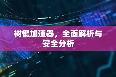 树懒加速器,全面解析与安全分析