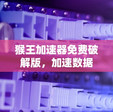猴王加速器免费破解版,加速数据传输的终极秘籍 猴王加速器免费破解版,加速数据传输的终极秘籍