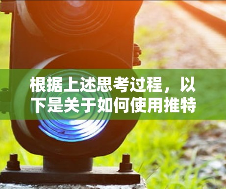 根据上述思考过程，以下是关于如何使用推特加速器的总结